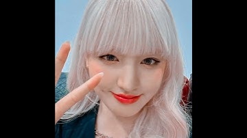 Share code alightmotion thường gu basic #alightmotion #sharecode #basic #edit