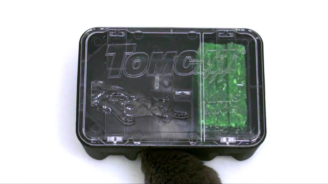 Does the Tomcat Mouse Trap Work?