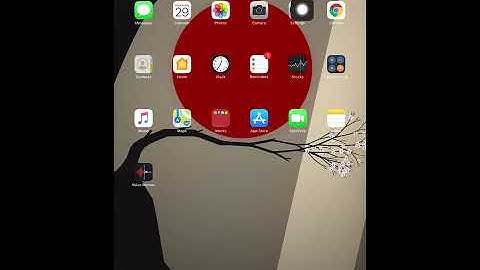 Zoom iPad Camera Check