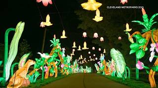 Cleveland Metroparks Zoo extends Asian Lantern Festival until Sept 12 adds new drone show finale