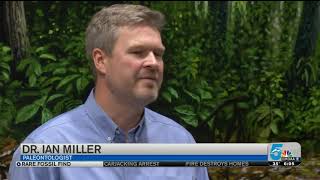 Springs discovery getting worldwide attention