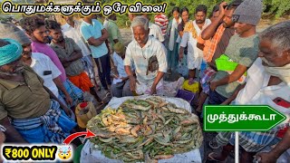 Muthukuda Village Fish Auction Is Pure Chaos Traditional South India Fish Market