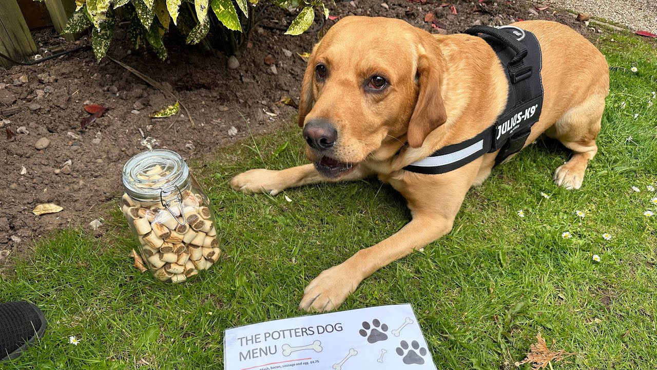 Doggie Menu at The Potters Bar, Meir Park YouTube