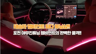 테슬라 모델3 엠비언트, 전국구 최다 튜닝샵 테슬라 엠…