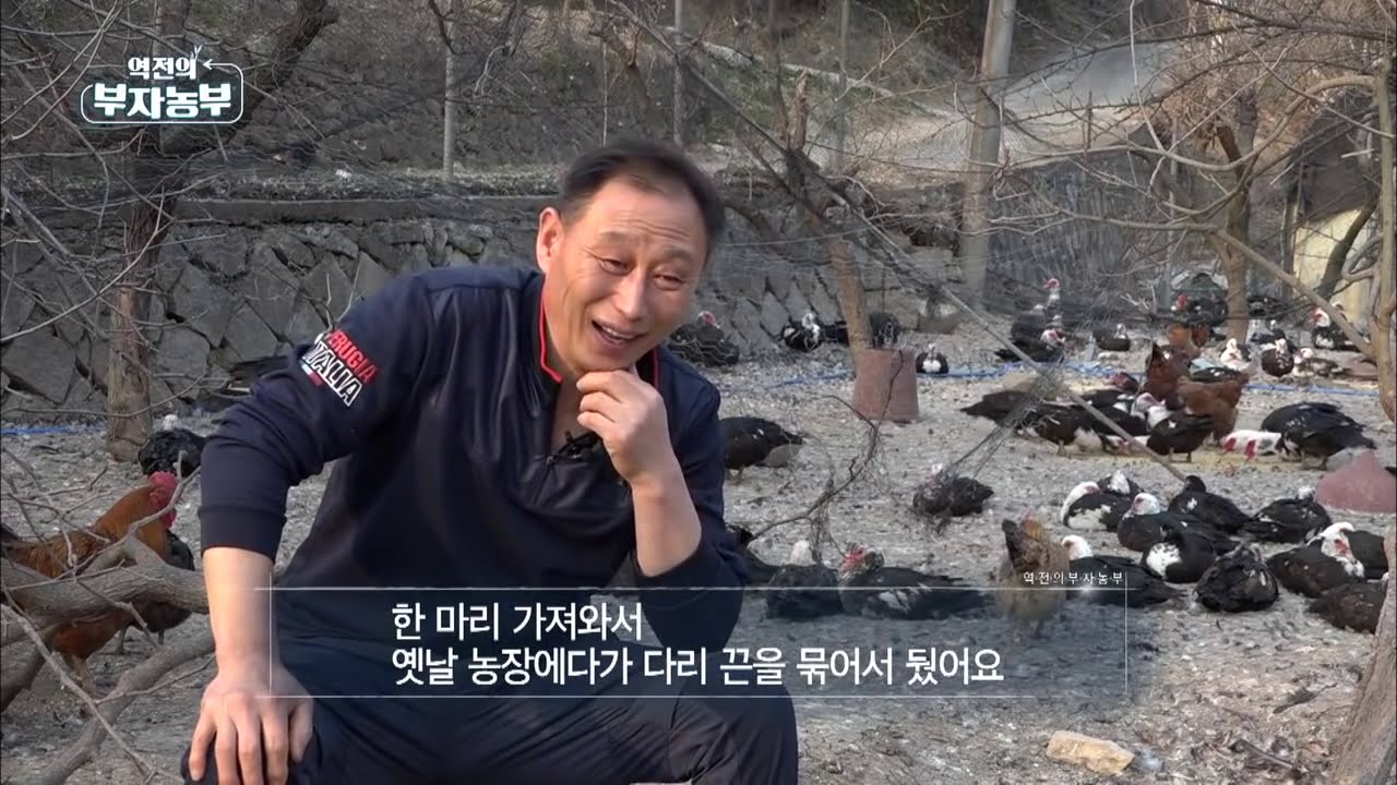 [34회] 오리인 듯 오리 아닌 기러기로 연 2억! '경북 경산시 손영구 부자농부'