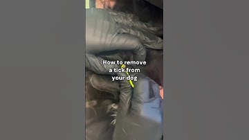 How to remove a tick from your dog. #doghealth #dogs #dogcare #veterinarian #veterinary