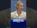 Die Union wird keine Wahl mehr gewinnen! Alice Weidel - AfD-Fraktion im Bundestag