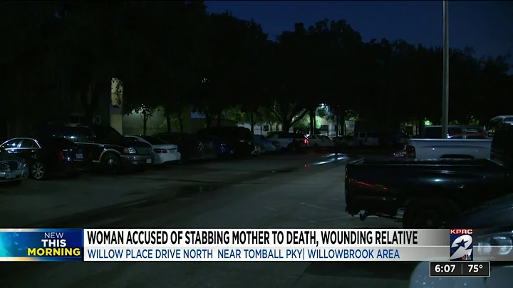 Woman accused of stabbing mother to death, wounding relative in Willowbrook area, police say