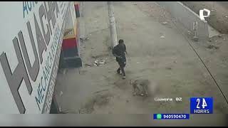 Sjl Dueño De Pitbull Que Mató A Mascota De Anciana Justificó El Ataque