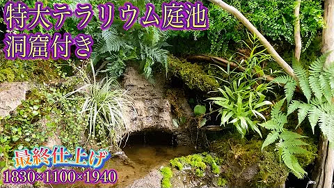 自然の小部屋洞窟ビオトープ
