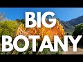 The most beautiful garden in Africa is Kirstenbosch National Botanical Garden (EXTREME EVOLUTION)