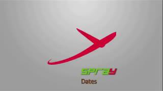 Spray optical sorting machine for dates | Raytec Vision