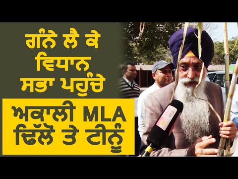 Exclusive: गन्ने लेकर Vidhan Sabha पहुंचे MLA Sharanjit Dhillon और Pawan Tinu, सरकार पर साधे निशाने