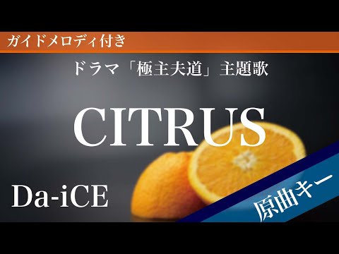 CITRUS / Da-iCE【ピアノカラオケ・ガイドメロディ付】ドラマ「極主夫道」主題歌