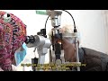 Haji Muhammad | Glaucoma | Al-Shifa Trust