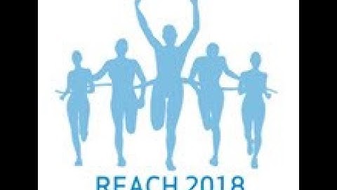 Creating a member dossier directly in REACH-IT