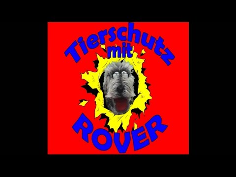 tierschutzliga---rover-und-die-weihnachtspatenschaft