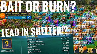 20 MILLION TROOPS WITH LEADERS IN SHELTER! BAIT OR BURN? - Lords Mobile