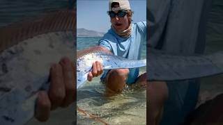 समुद्र के अंदर छुपे हैं ये डरावने जीव| Deep Sea Creatures Facts #viral #sea #shorts