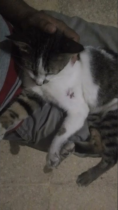 Berantem sampe luka, pulangnya manja