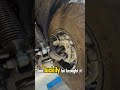 2025 Jeep Wrangler - 2 weeks on the road. Rusty or no?