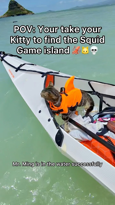 Mr Ming is an absolute G for riding to the squid game island with me yesterday! 🤔🐱#pov #squidgame