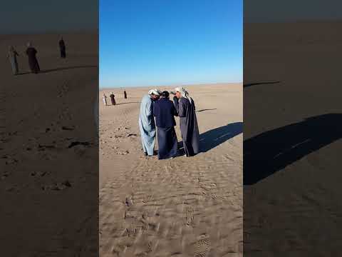 المگناص بر صلاح الدين العراق العبيد شمر مضارب شمر گروب المگناص موسم 24 السعودية العراق
