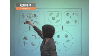 【幼児Web授業 ワオ！プレスクール（サンプル映像）】観察領域（レベル4）比較