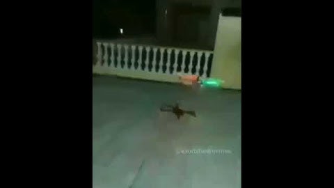 HAWK X3 In Real Life [CODM]