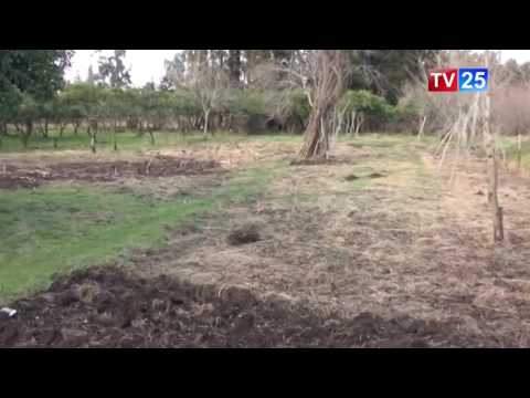 ოქსფამის კვლევის შედეგები