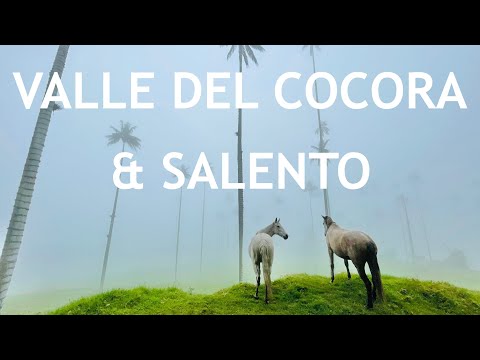 Hiking Cocora Valley,