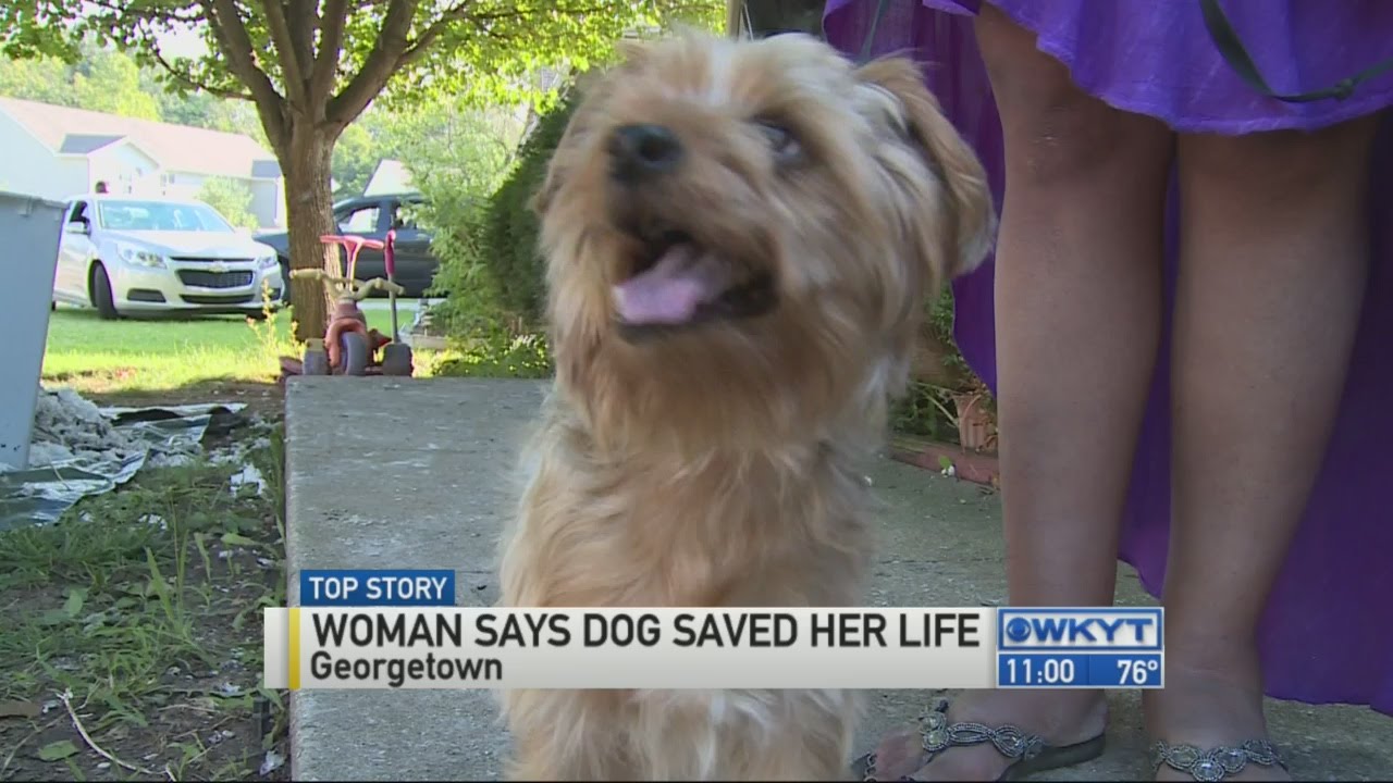 Woman says dog saved her life - YouTube