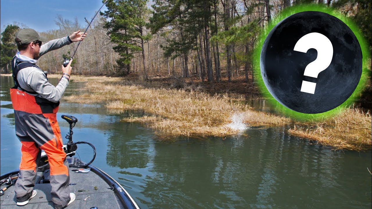 Does A Full Moon Affect Bass Fishing Does A Full Moon Affect Bass Fishing