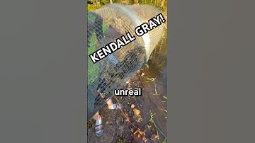 Controle van Kendall Gray