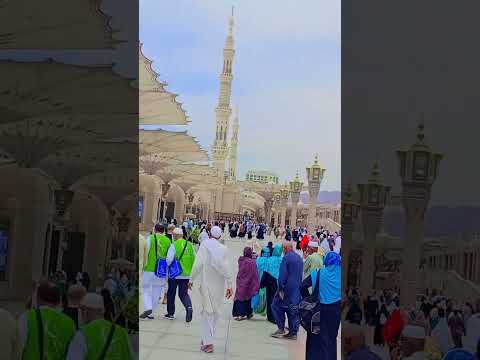 Tu Zinda Ha Wallah Youtubeshorts Nabipakﷺ Fouryou Life Islamicvideo Viralvideo Masjidnabawiﷺ