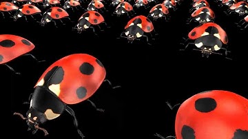 Deferred Shading in OpenGL