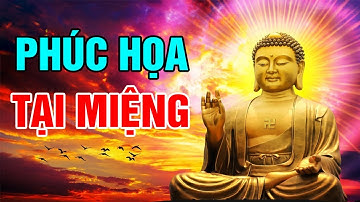 PHÚC HỌA TẠI MIỆNG, Lời Phật Dạy Về Nghiệp Báo Của Khẩu Nghiệp Gây Ra, Chớ Coi Thường Khẩu Nghiệp