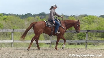 Tres - one-hand jog, lope, stops, turns! - ValleyViewRanch.net