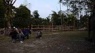 lempar pisau gagal