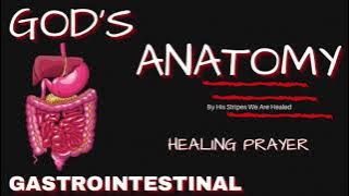 Healing Prayer For Stomach Issues | God's Anatomy | Gastrointestinal
