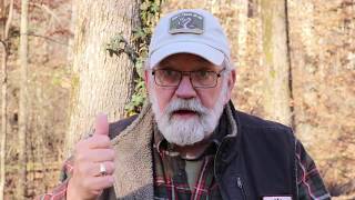 Planting Trees: Homestead Stewardship