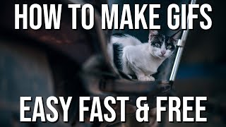 Easy & Free Way to Make Animated GIF Images with ScreenToGif (Tutorial)