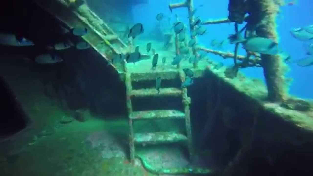 Inmersión de buceo en el pecio Boreas (Palamós, Girona)