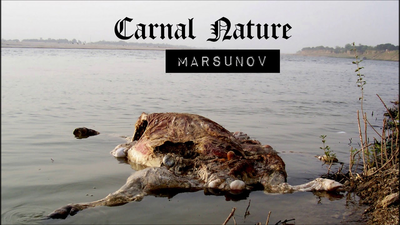 CARNAL NATURE FULL ALBUM