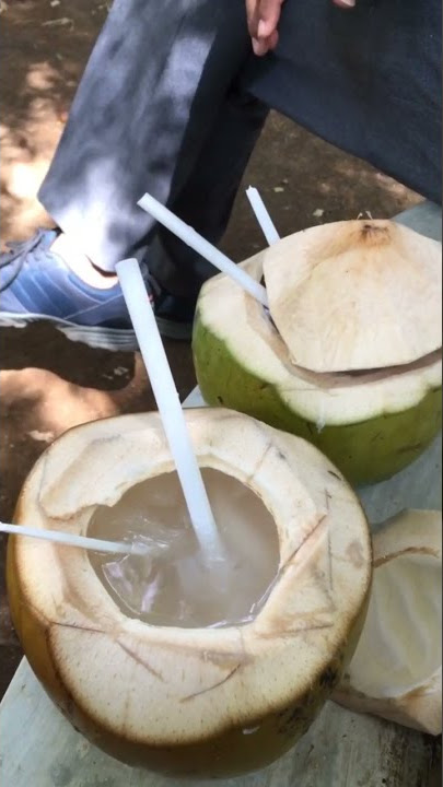 Jajan Minum Kelapa Muda // Jajan Receh // Story Makanan