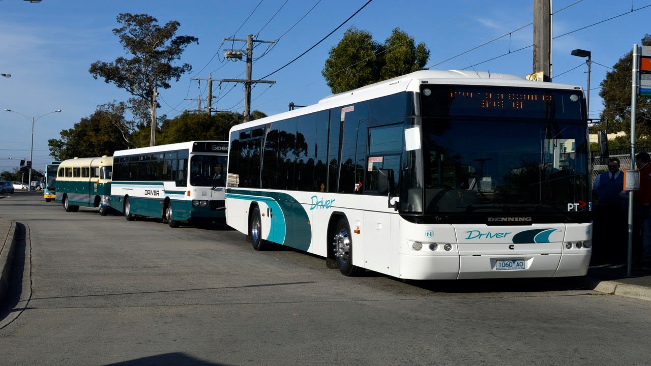 Driver buses at Glen Iris - BCSV farewell tour