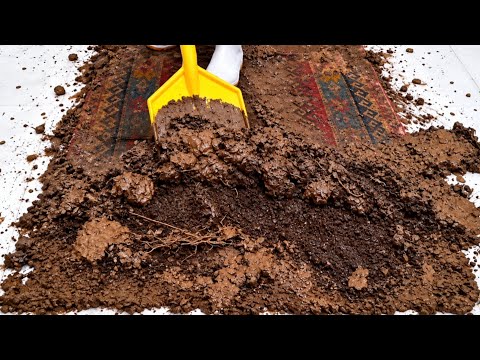 The Dirtiest Mud-Covered Rug vs. a Giant Plastic Scraper - What We Saw at the End Was Unbelievable