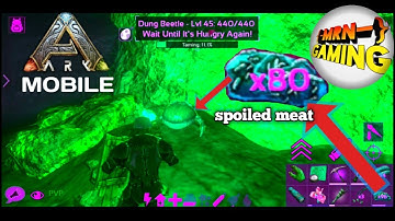 [ ARK MOBILE ] How to tame dung beetle | pvp | pvxc | cave run | solo game play | taming | farming |