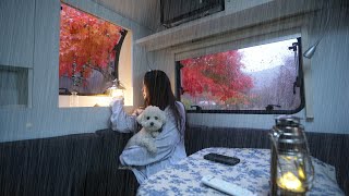 solo camping / A cozy caravan in a forest with heavy rain and strong wind and rain