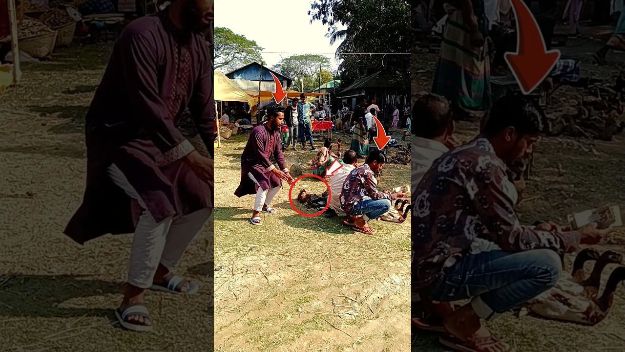 Техника ниндзя: кража и продажа утки сзади 😁😂 